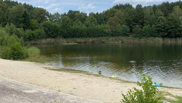 A lakeside view with a sandy beach, dense forest in the background, and a clear sky. - Gemutliche Ferienwohnung in Fassberg (Faßberg)