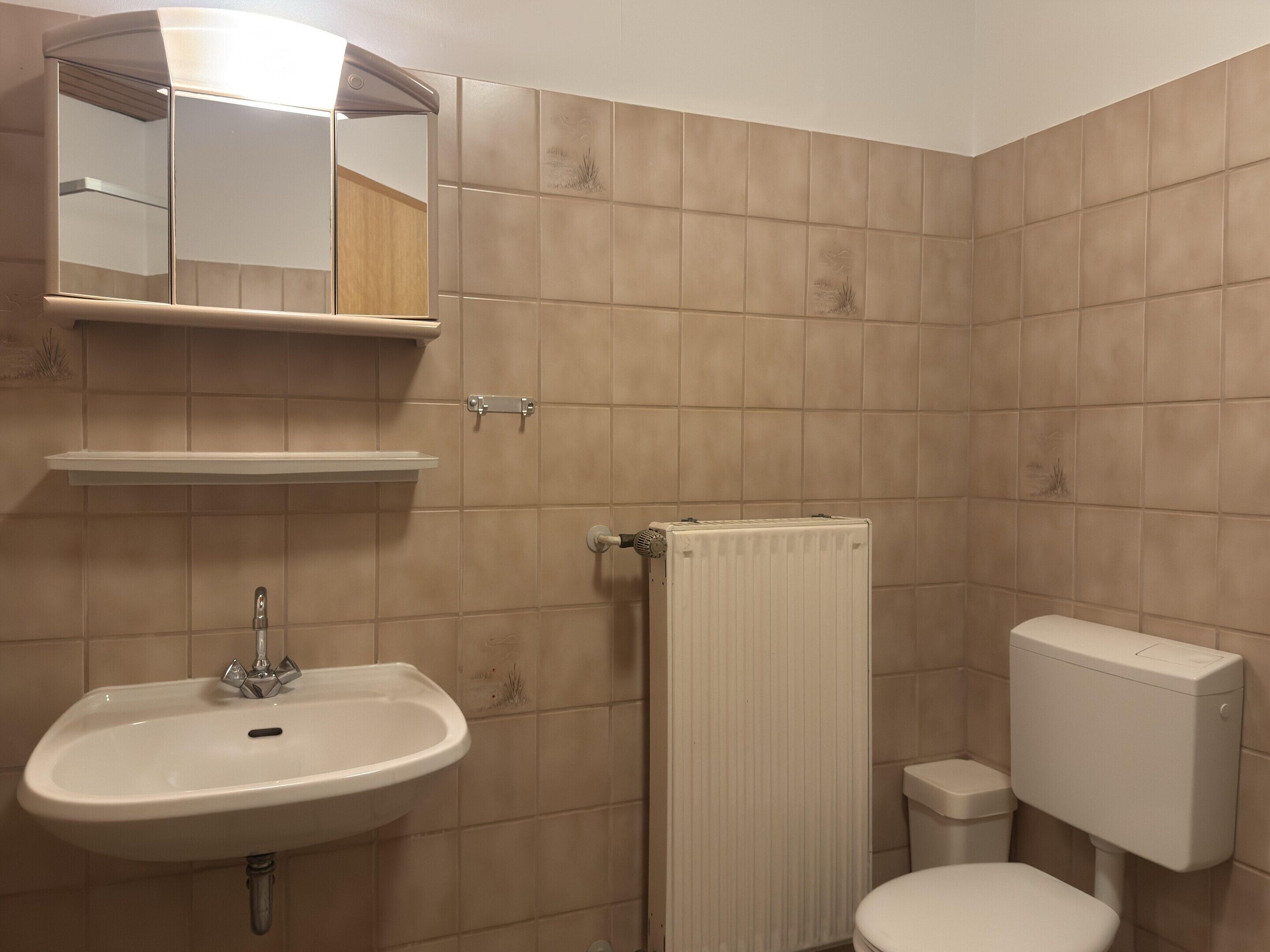 A bathroom with a sink, mirror, toilet, and radiator.