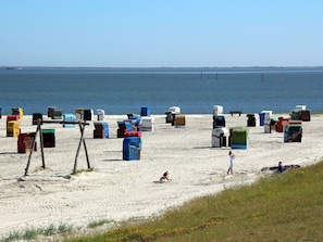 House | View from property - Bungalow Near Dornumersiel Beach (Dornum)