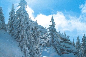 Leilighet | Eksteriør