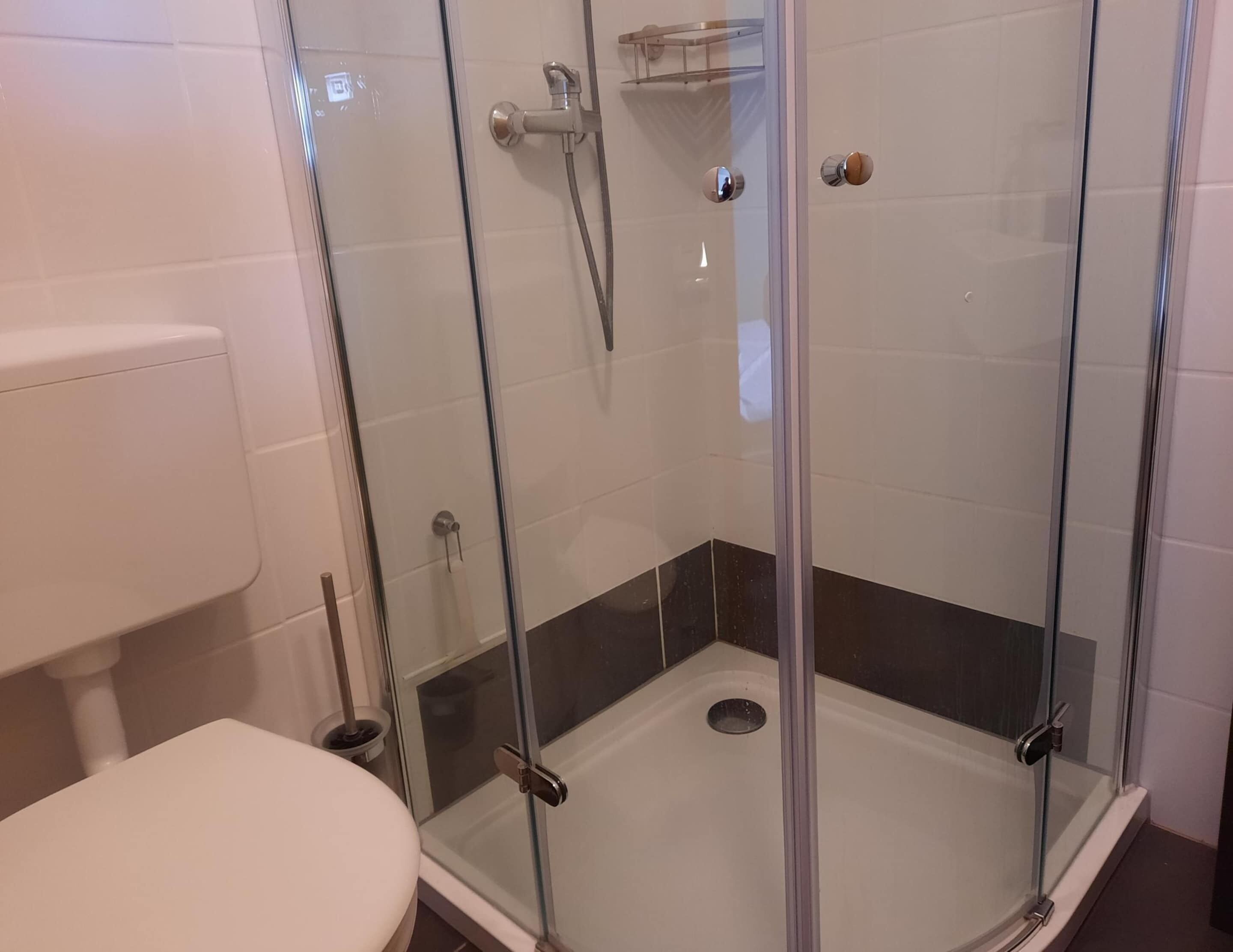 Un box de ducha con paredes de vidrio, un inodoro blanco y un suelo con azulejos negros.