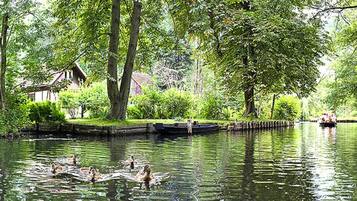 Apartemen | Pemandangan dari properti