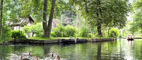 A calm river with ducks swimming, surrounded by lush greenery and a traditional building.