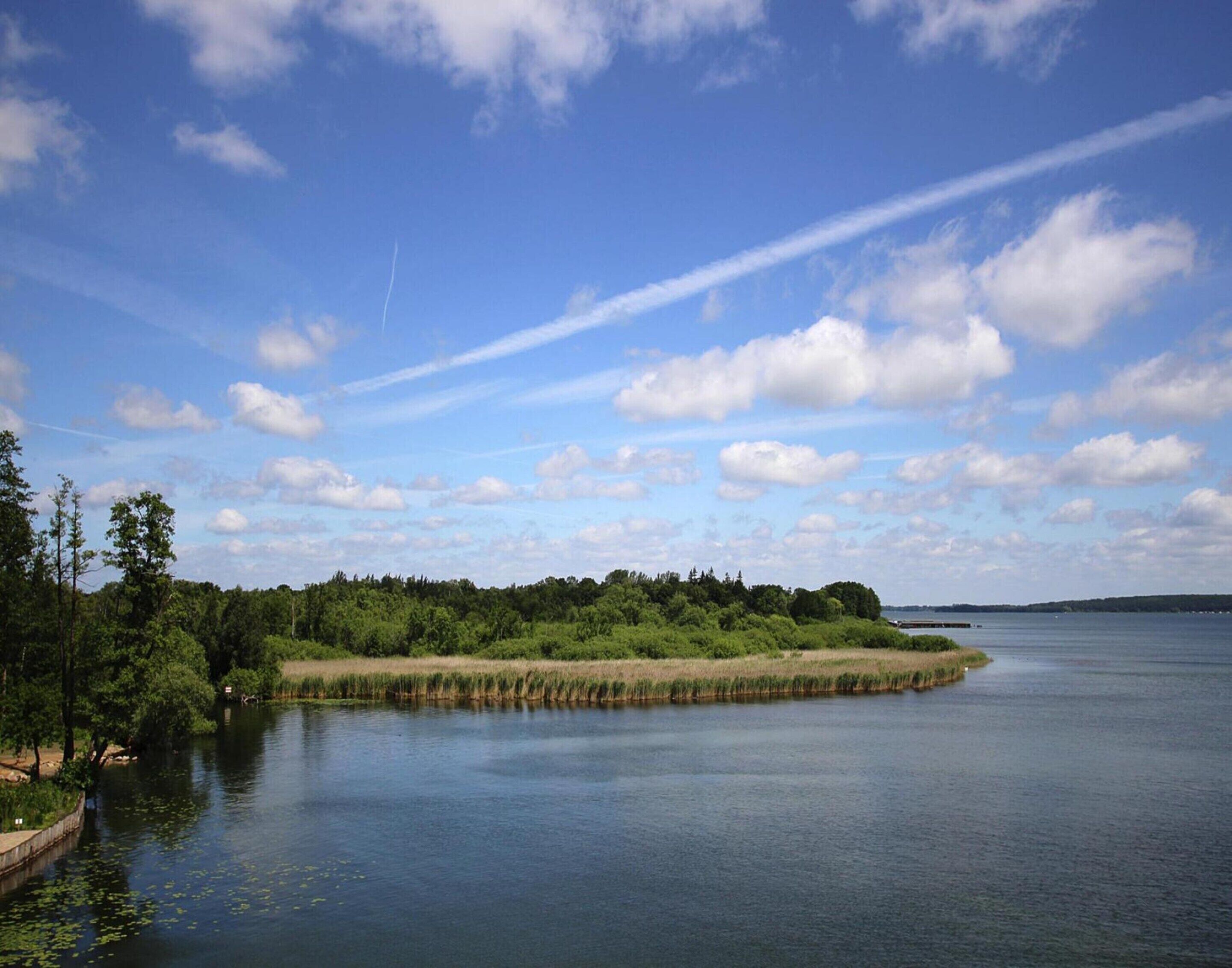 En rolig sø med en ø skovdækket og en klar himmel.