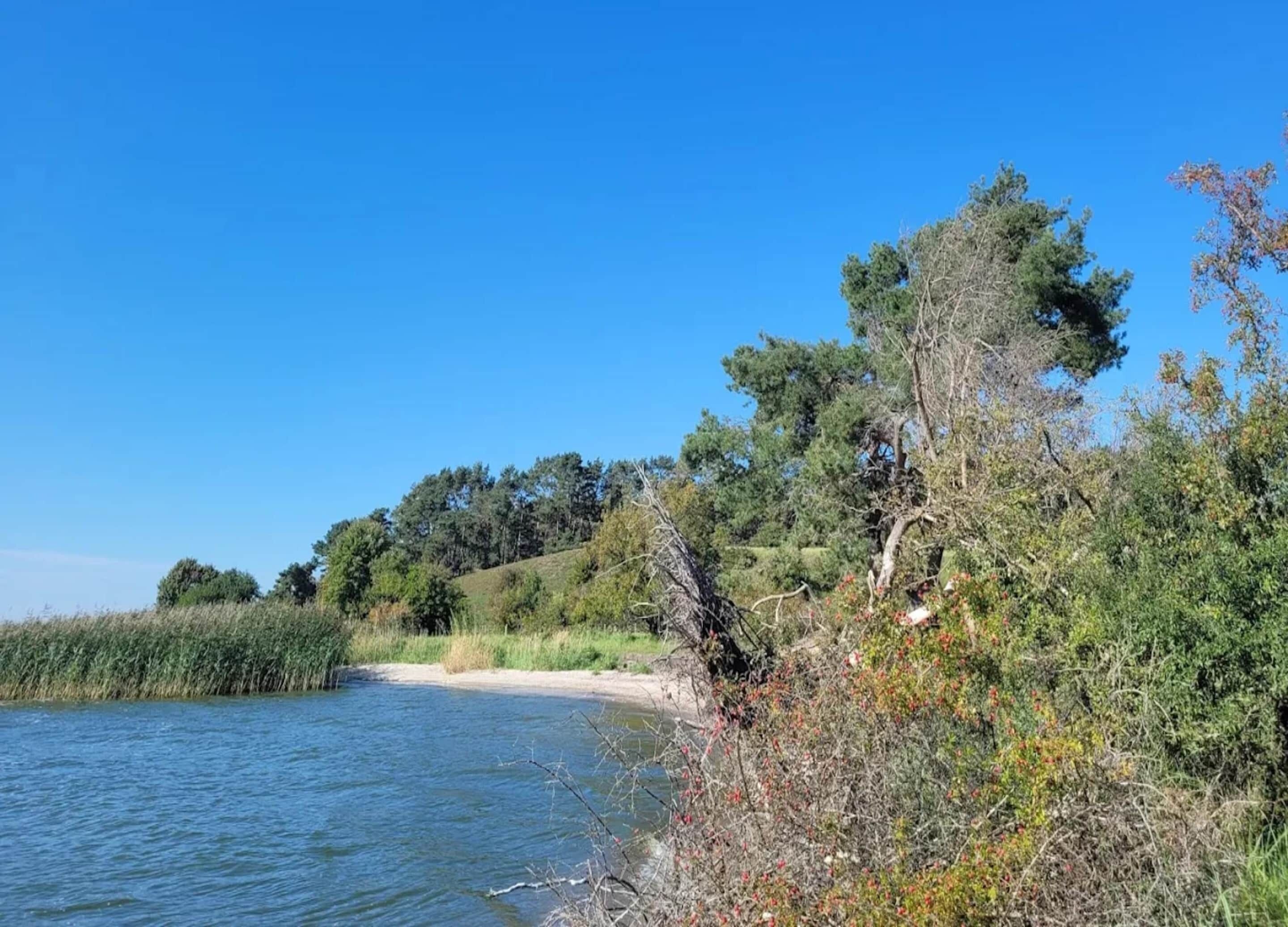 Ett landskap vid en flod med en sandstrand och tät vegetation.