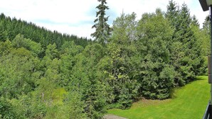 A view of a forested area with a gravel path leading through it. - Studio in Winterberg Near Ski Slopes (Winterberg)