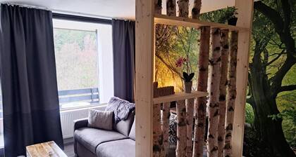 Studio in Winterberg Near Ski Slopes