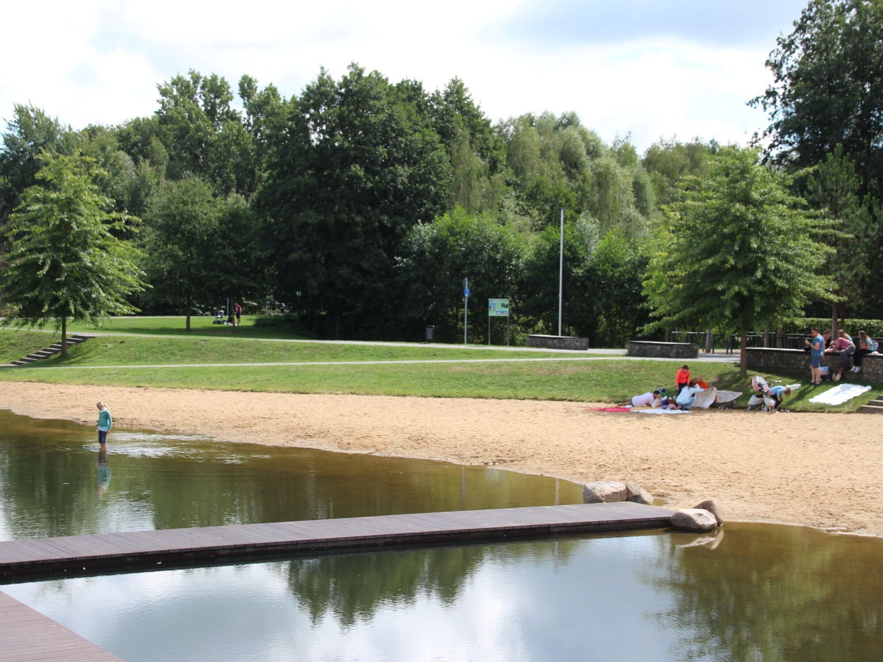 A park with a pond, grassy areas, and trees.