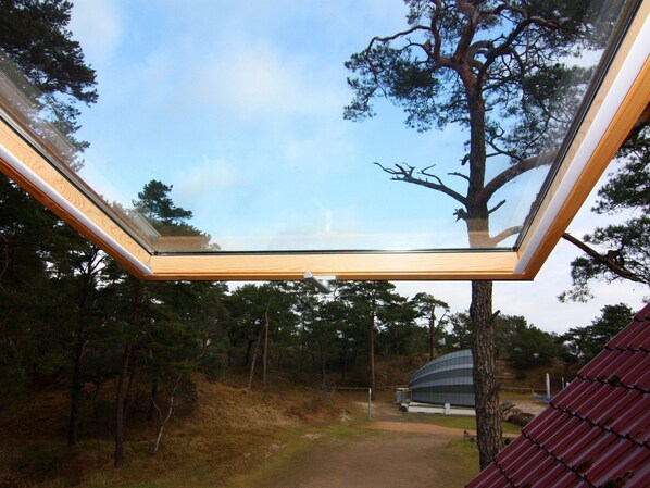 House | View from property - Doppelhaushalfte Bernsteinhaus I, Trassenheide (Trassenheide)