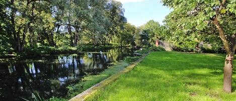 Ein ruhiger Flussuferweg mit üppigem Grün und stillen Gewässern.