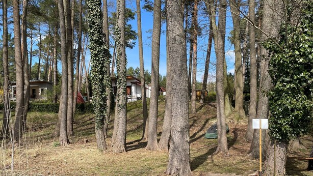 Un muelle de madera se adentra en un estanque rodeado de altos árboles, con una casa pequeña al fondo.