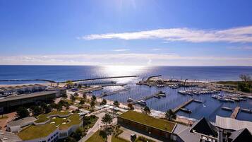 House | Pemandangan udara