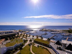 House | Aerial view