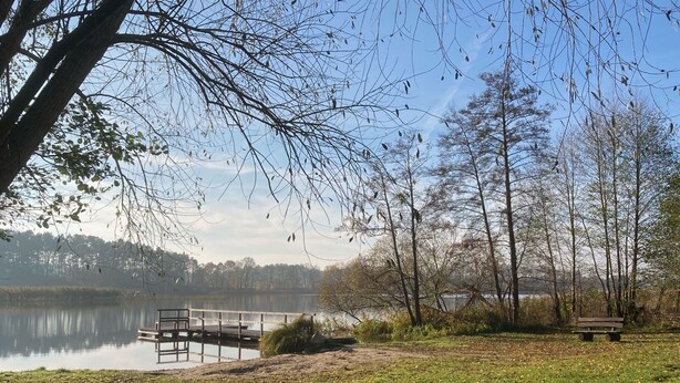Ein Park mit einer Bank, einem Steg und einem See.