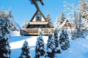 House | Exterior - Ferienpark Tennenbronn (Schramberg)