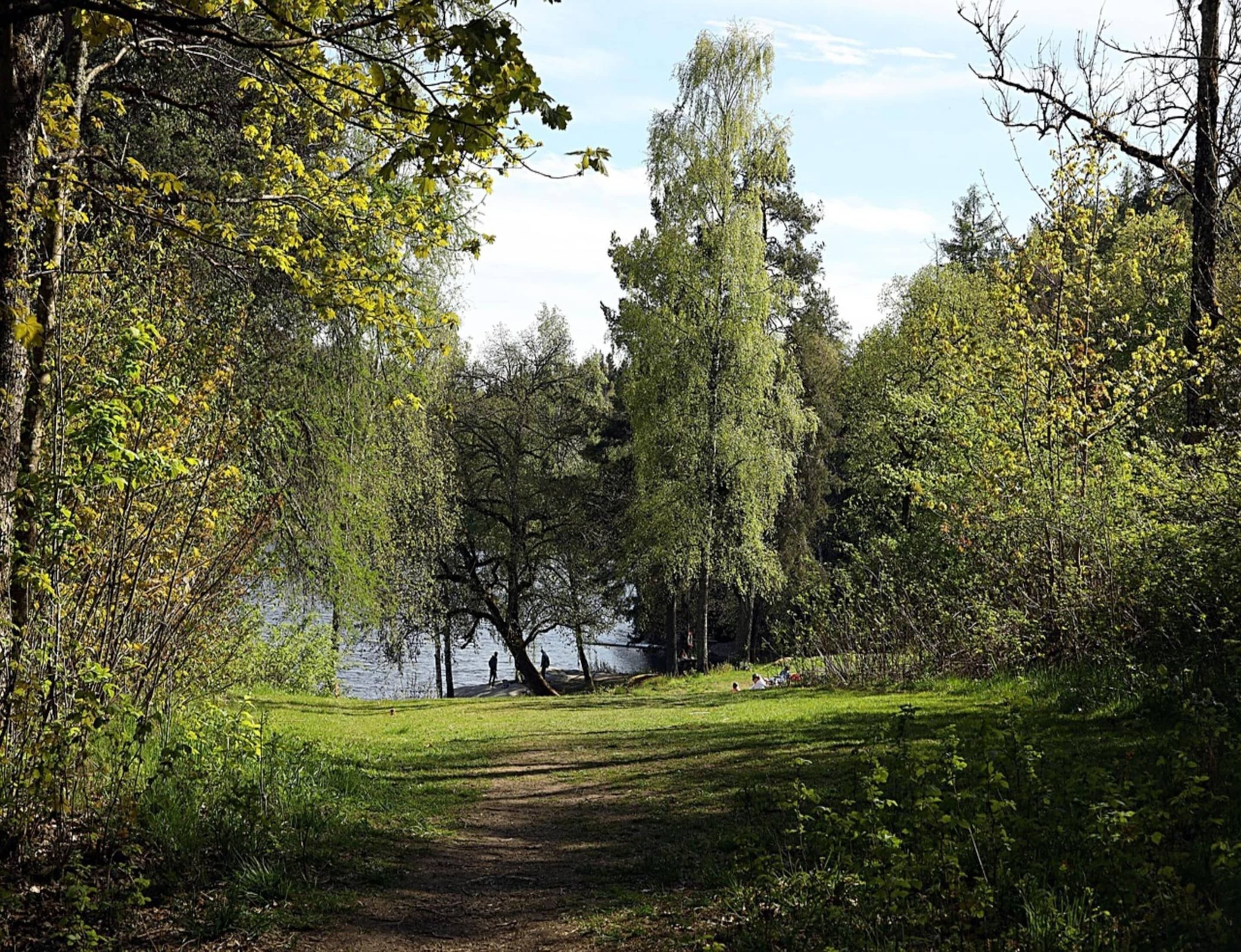 A pathway leading to a body of water surrounded by trees and grass.