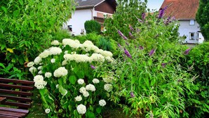 A garden with a bench, various plants, and a house in the background. - Holiday Home in Badenhausen (Bad Grund)