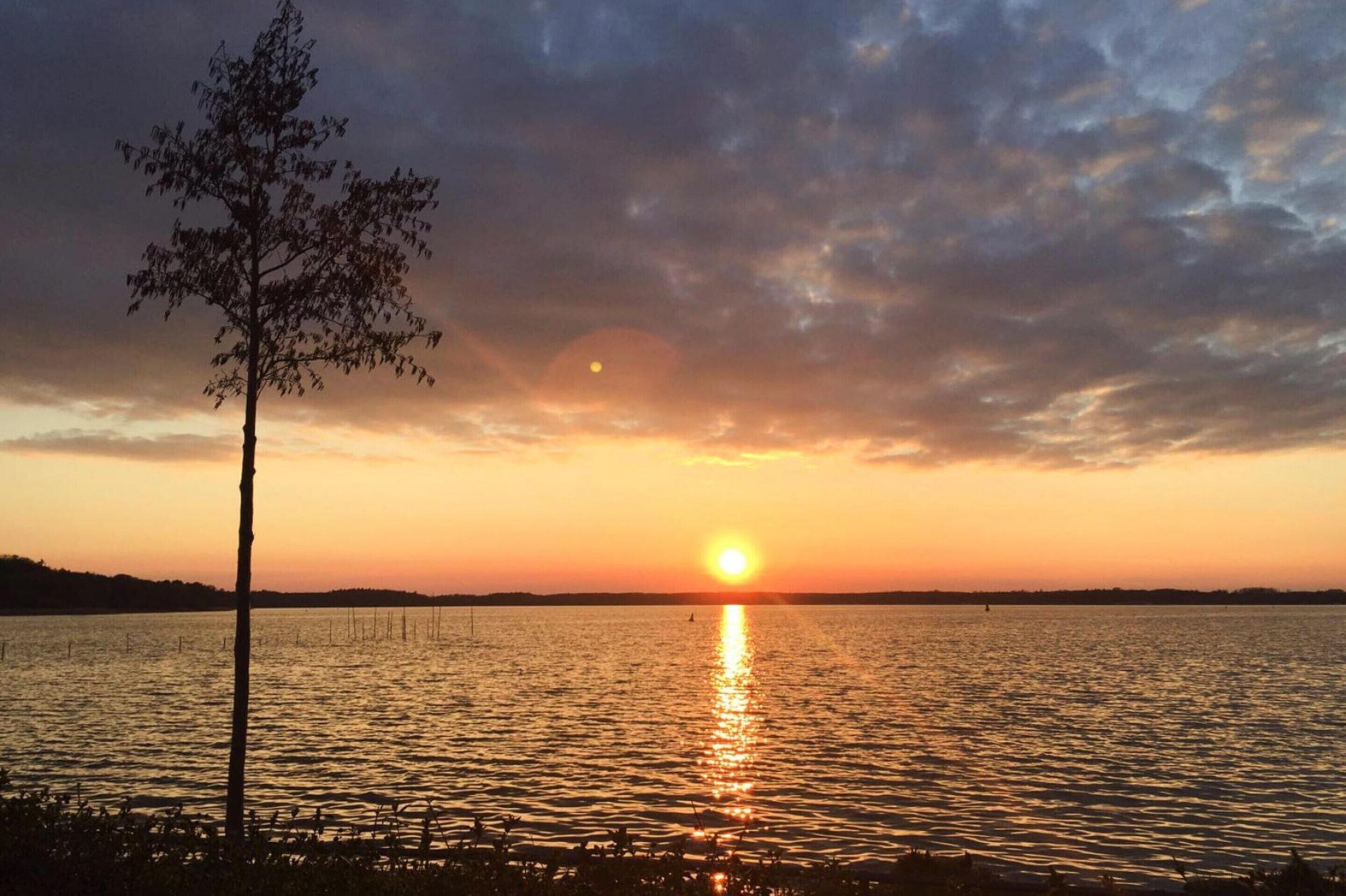 Ein Sonnenuntergang über einem ruhigen See, im Vordergrund ein einzelner Baum.