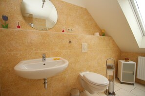 A bathroom with a sink, toilet, and a mirror.