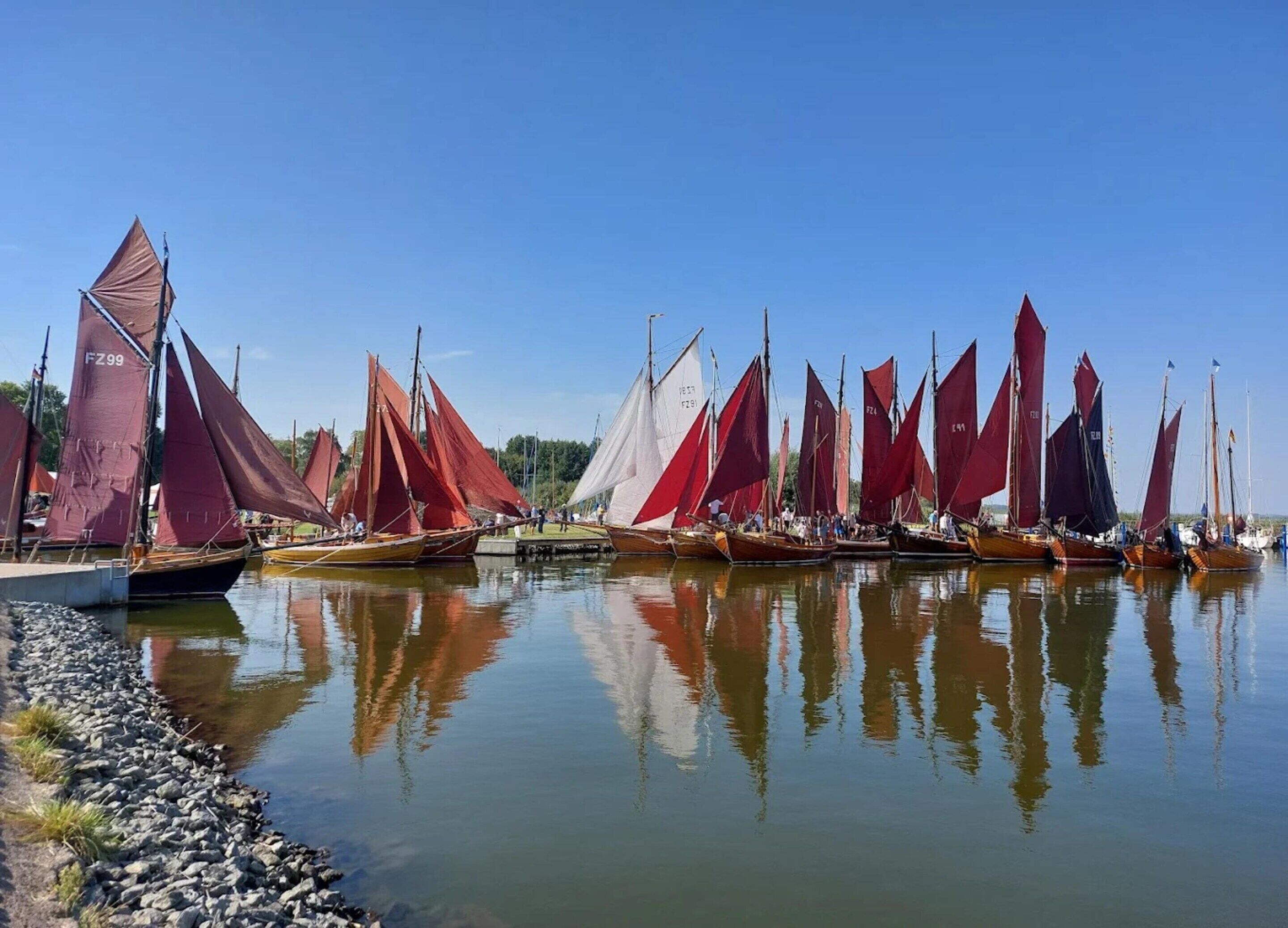 Eine Reihe von Segelbooten liegt in ruhigem Gewässer unter klarem Himmel.