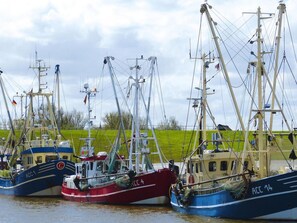 View from property - Doppelhaushalfte in Nessmersiel (Dornum)