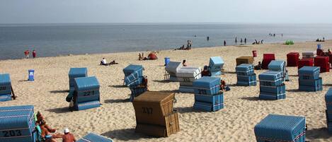 Ferienhaus | Blick von der Unterkunft