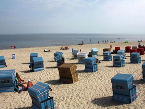 ハウス | 施設からの眺望