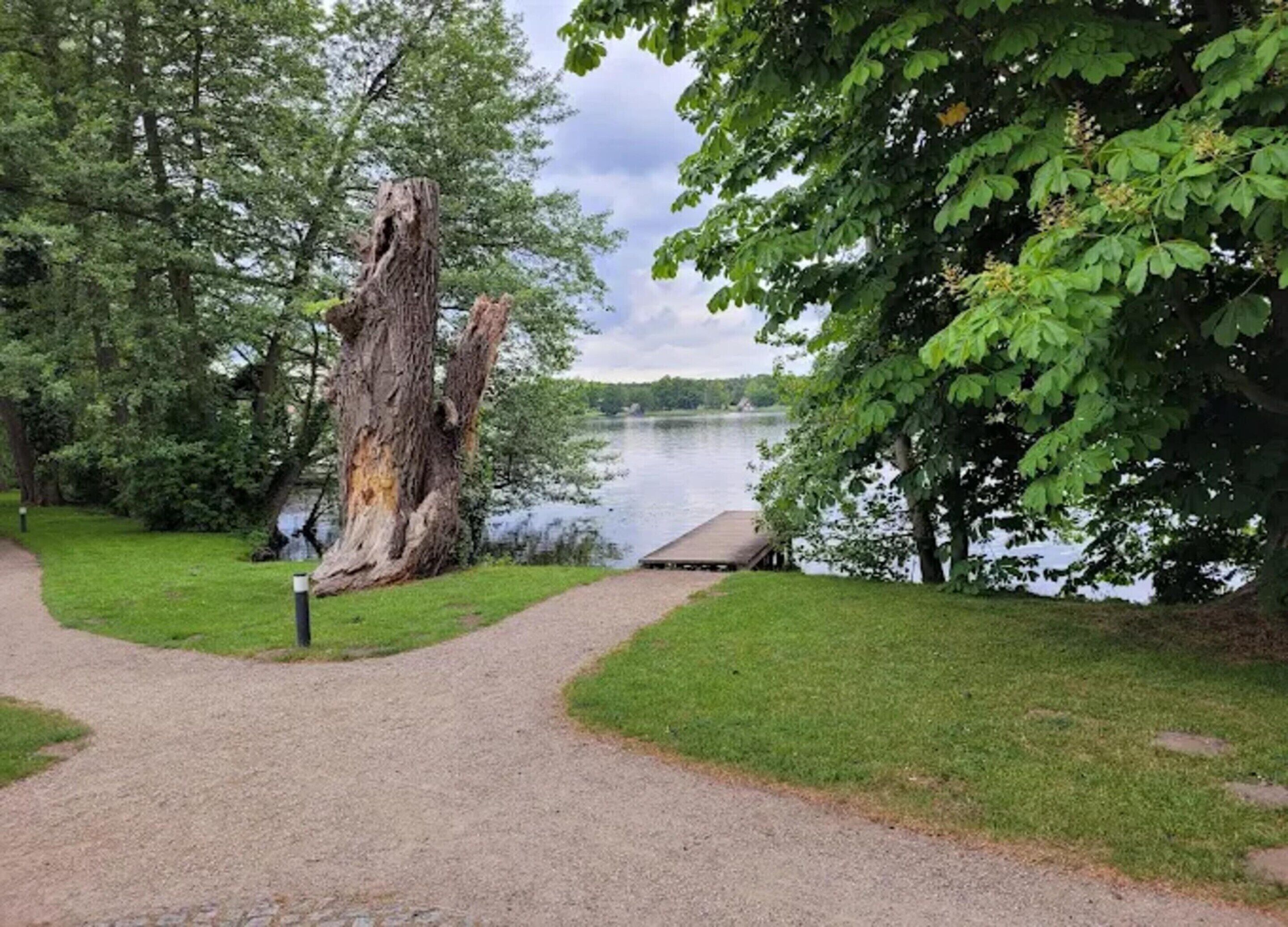 A gravel path leading to a dock by a lake, surrounded by trees and grassy areas.