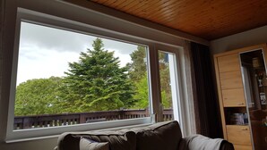 A room with a large window, a wooden ceiling, and a built-in bookshelf. - Holiday Home Inselperle, Putbus (Putbus)