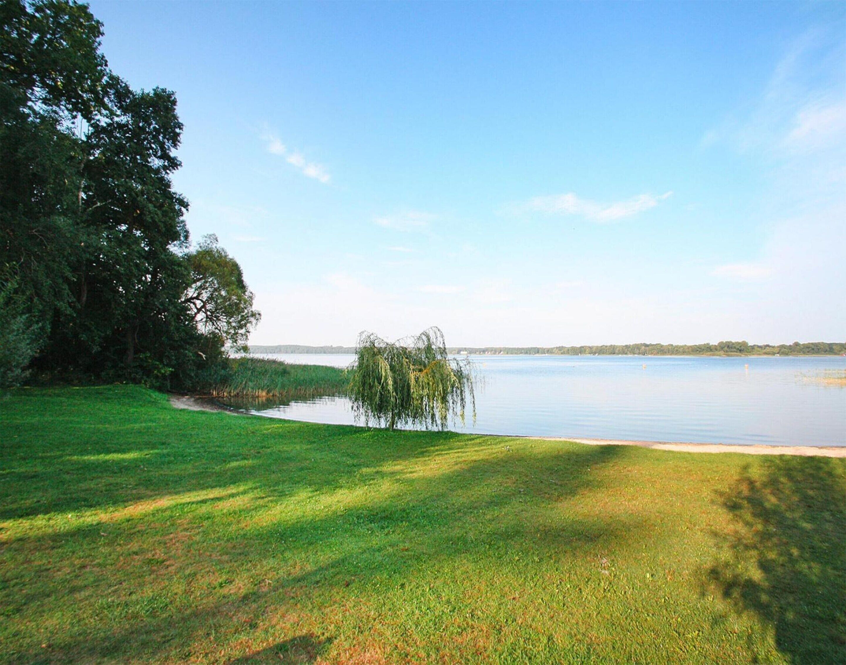 Uma área gramada com um salgueiro-chorão à beira de um lago calmo, rodeada por árvores e um céu claro.