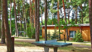Un tavolo da ping pong in una zona boschiva, con una casetta di legno sullo sfondo.