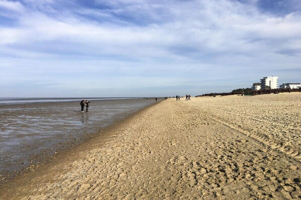 Enjoy a tranquil beach experience with access to nearby accommodations.