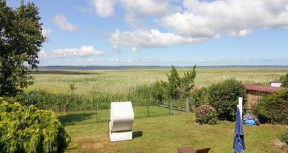 Ferienhaus am Schilfufer in Barth