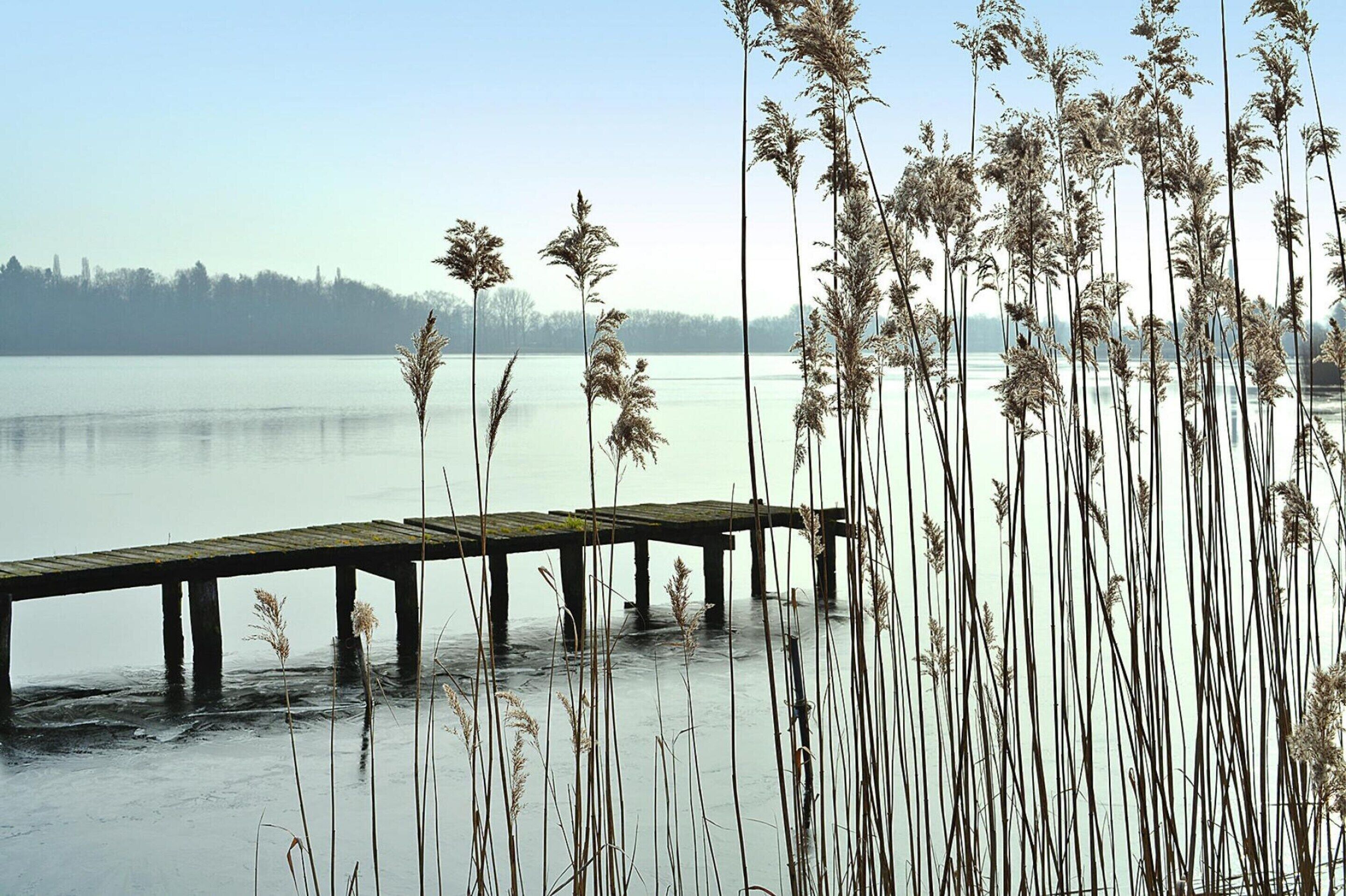 Bungalow | Verschiedenes