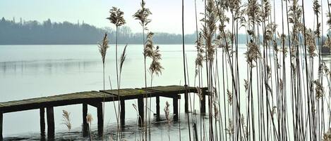 A wooden pier extending into a calm lake with tall grasses in the foreground.