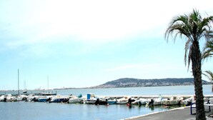 A marina with boats docked along the water's edge, a palm tree, and a distant hill. - Apartment in Plau am See mit Terrasse (Plau am See)