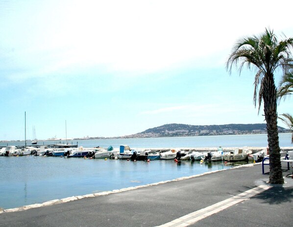 Apartment | View from property - Apartment in Plau am See mit Terrasse (Plau am See)