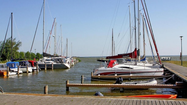 A marina with several sailboats docked at wooden piers. - Doppelhaushaelfte am Hafen von Neuendorf (Saal)