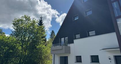 Ferienwohnung, Hahnenklee