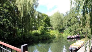 Une rivière où l’on peut naviguer, une jetée en bois et une végétation luxuriante.