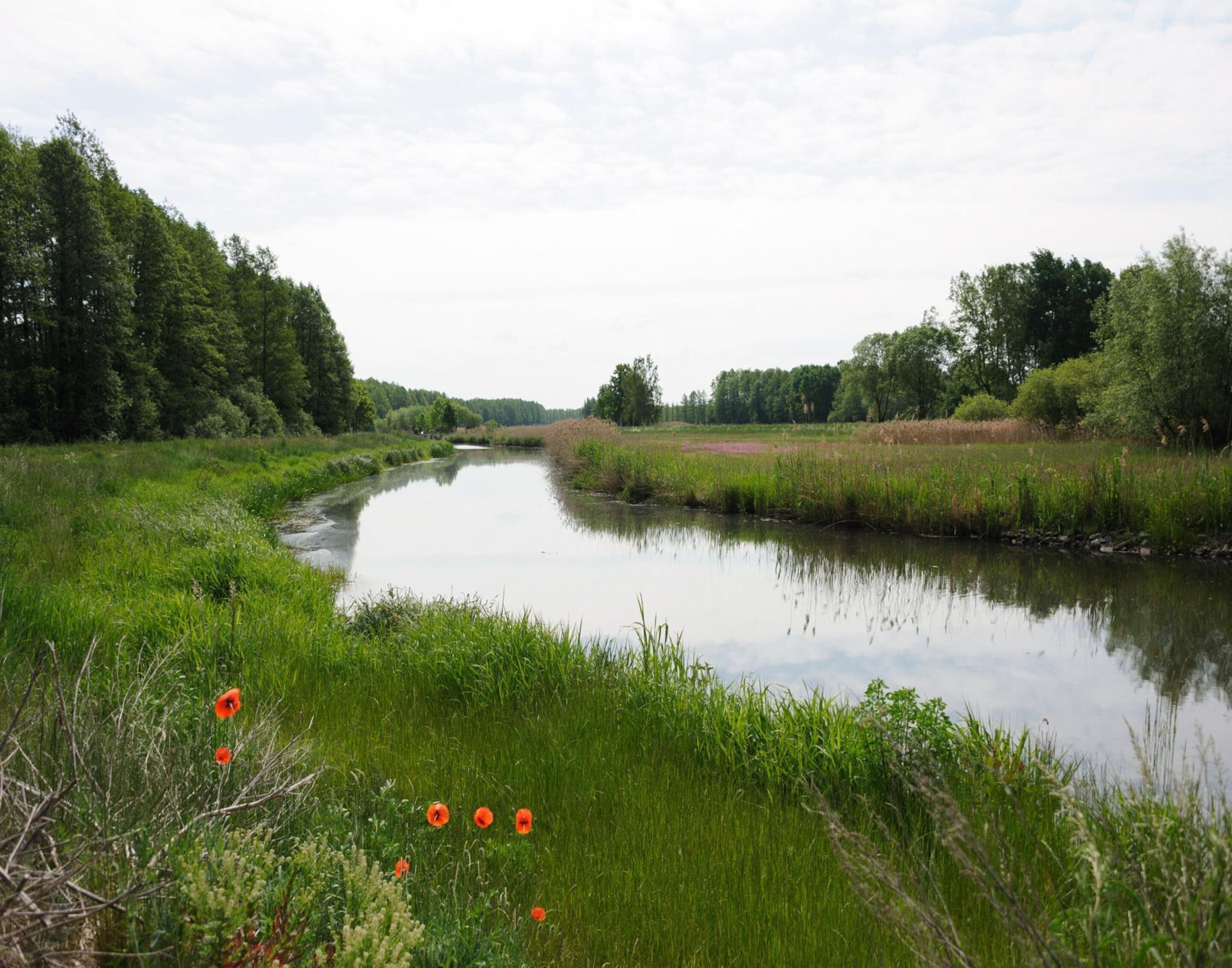 Une rivière serpente à travers un paysage luxuriant, bordé de part et d’autre par une végétation dense.
