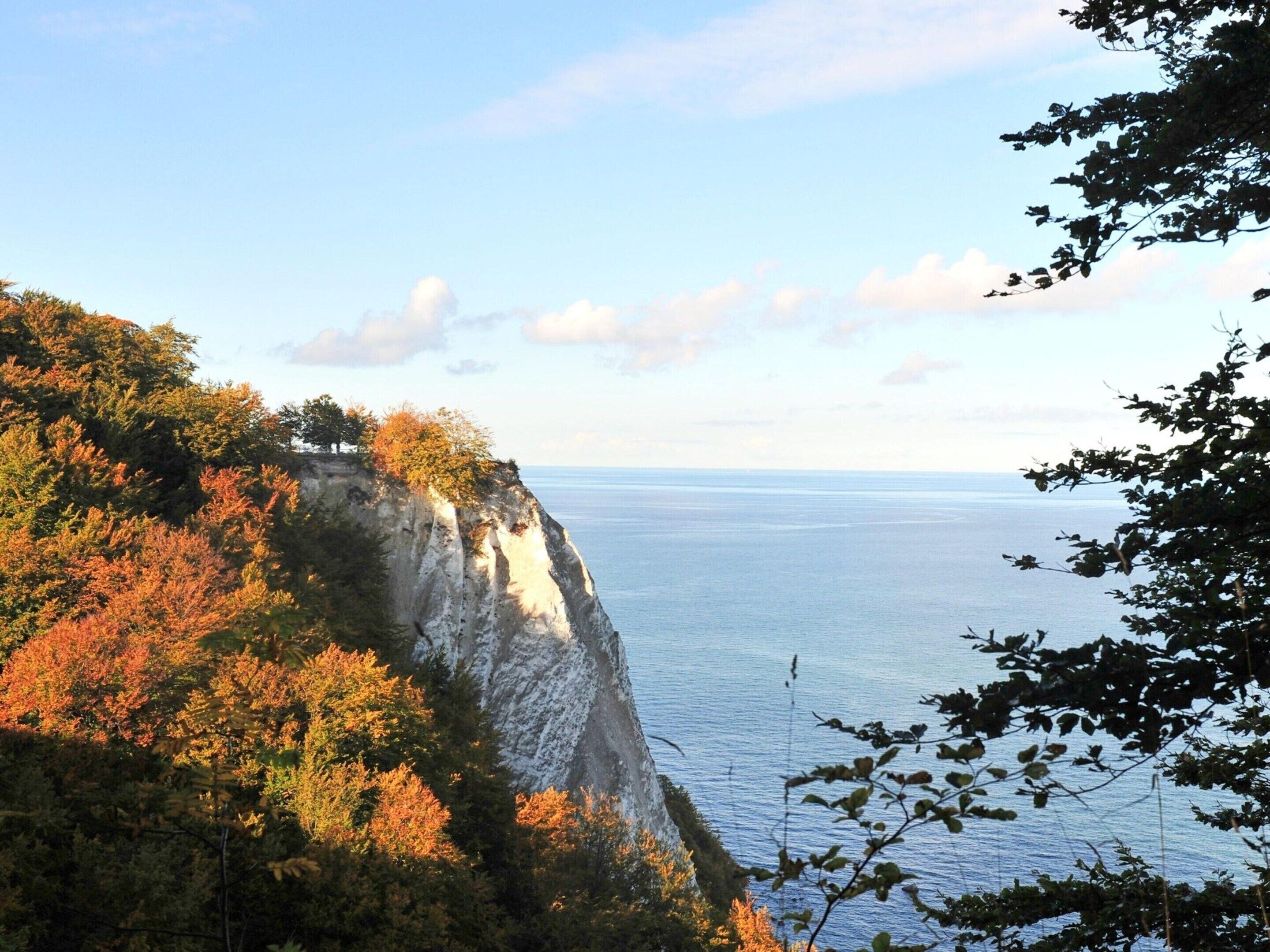 A coastal cliff with autumn foliage and a view of the sea.