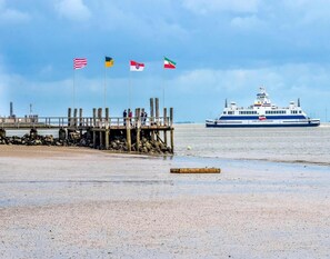 Casa | Vista da propriedade
