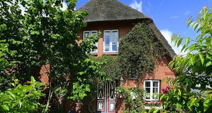 Ferienwohnung in Oevenum auf Foehr