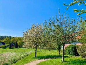 Garden - Ferienhaus Muritzzeit in Robel an der Muritz (Röbel/Müritz)