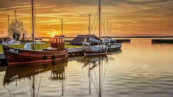 House | View from property