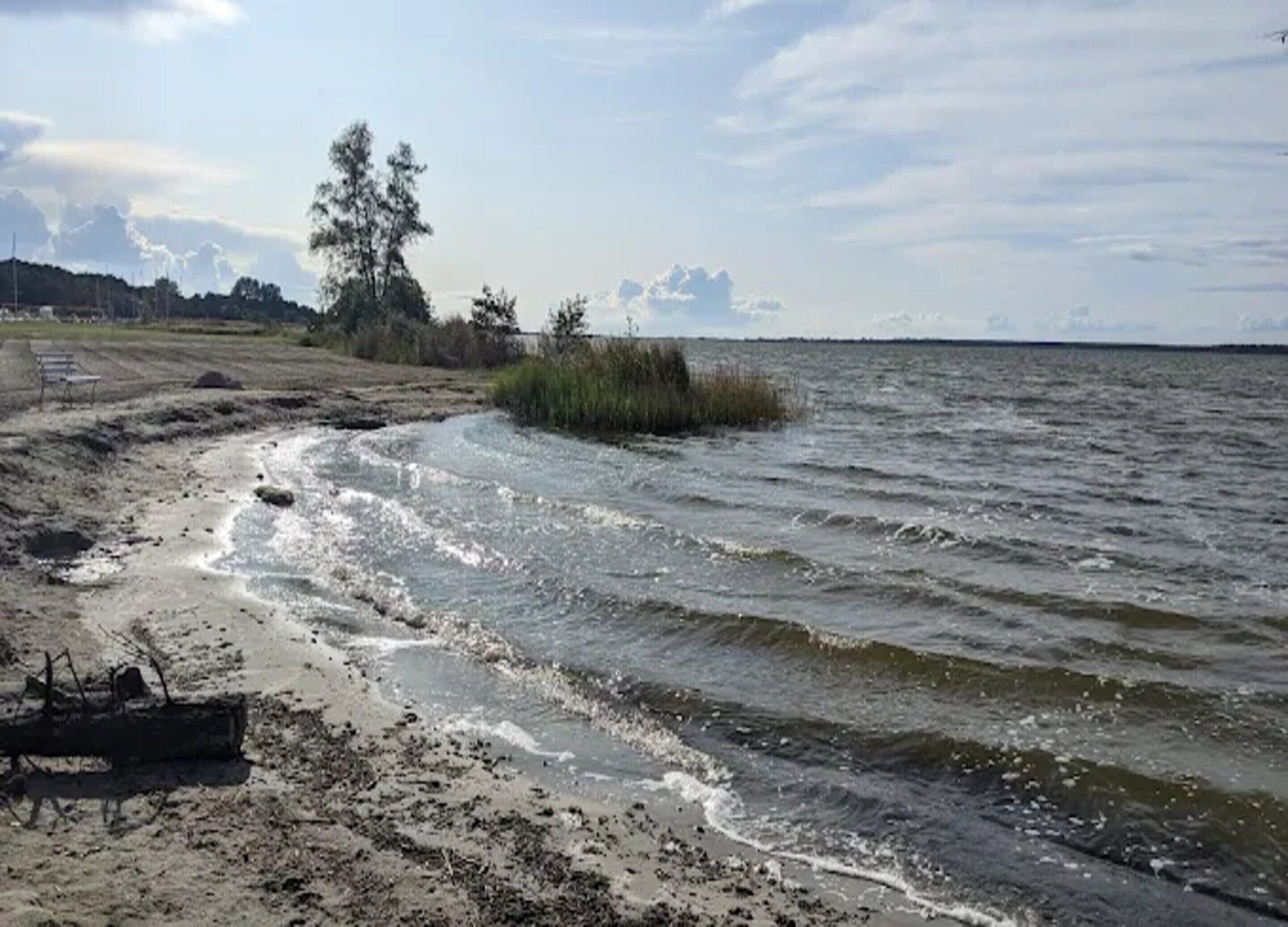 A sandy beach with gentle waves, a bench, and a grassy area with trees in the background.
