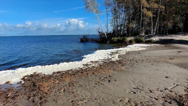 A beach with a clear sky, a rocky shoreline, and trees in the background. - Ferienhaus, Fuhlendorf (Fuhlendorf)