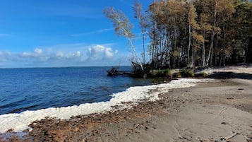 House | View from property