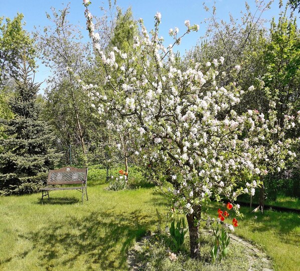 Apartment | Garden - Ferienwohnung in der Hubschen Inselstadt Malchow (Malchow)